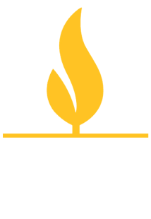 Pulmonary Hypertension Association logo